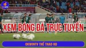 Okwintv thể thao HD
