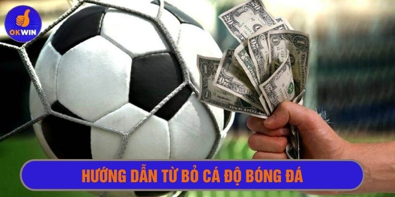Tìm cách từ bỏ cá độ bóng đá từ chuyên gia