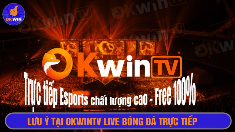Truy cập vào trang xem bóng đá chính chủ 