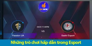 Esport OKWIN